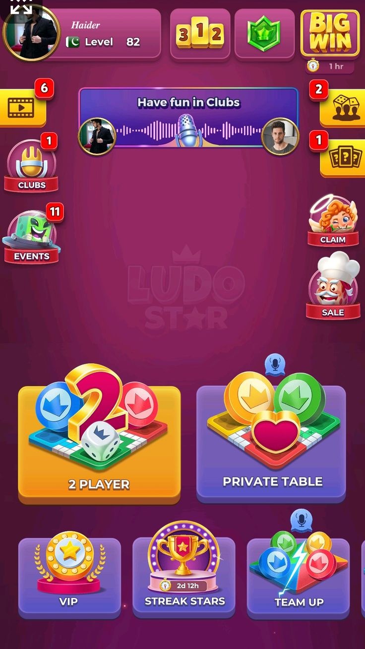 BetFlag game